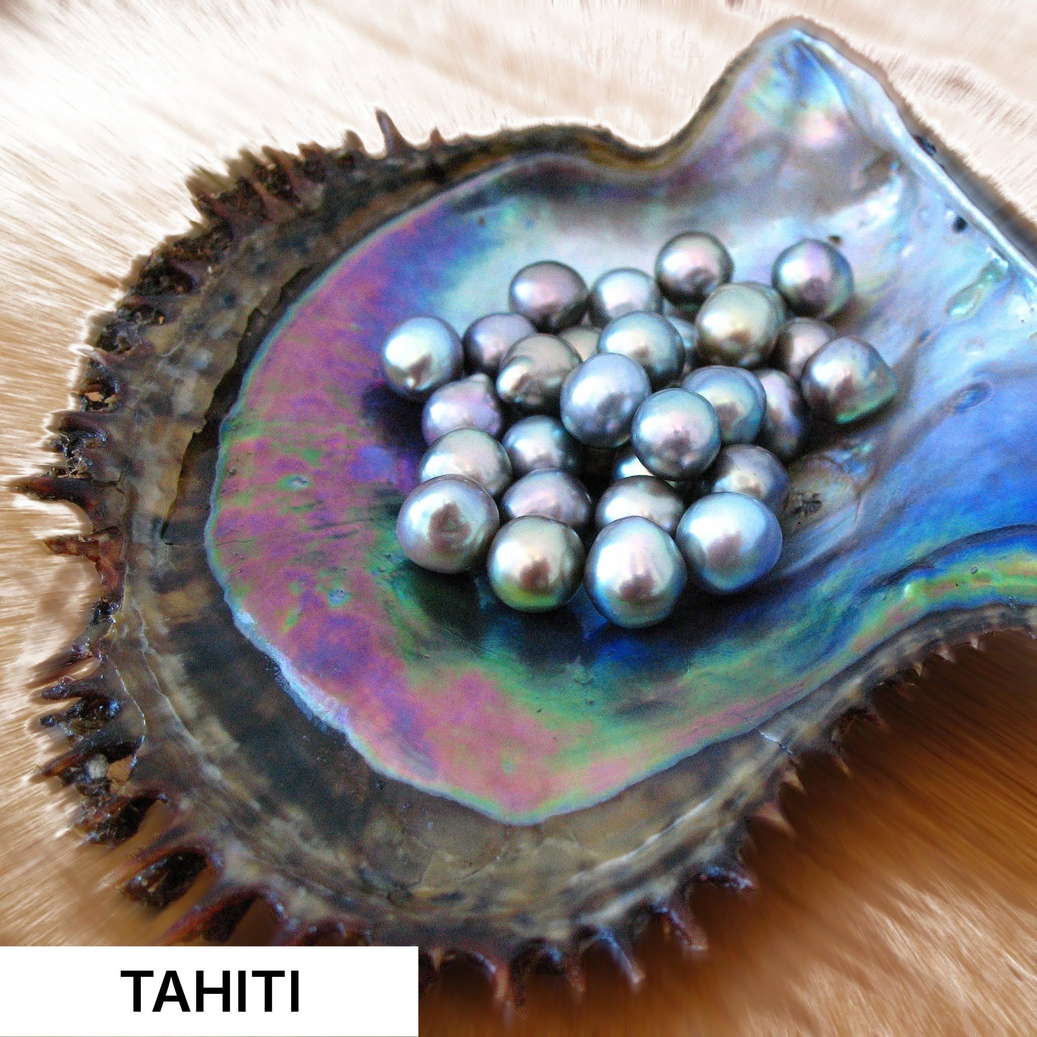 premium local pearls from bay farms