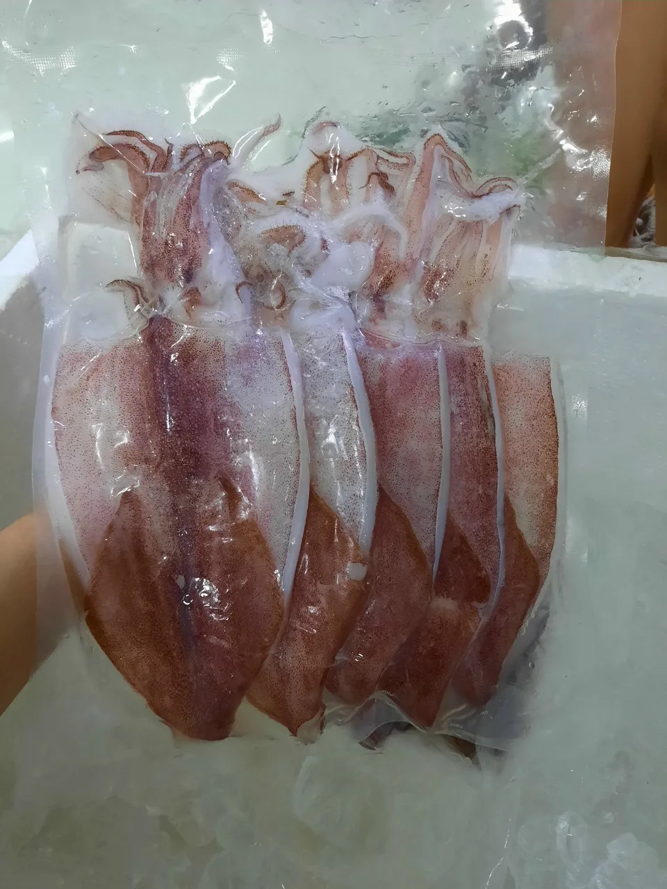 sun-dried squid (Mực Một Nắng)