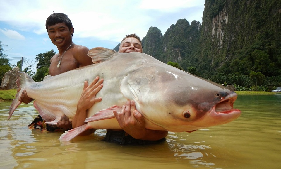 mekong_river_fishing_viet_nam_Fishing_Tours_vn