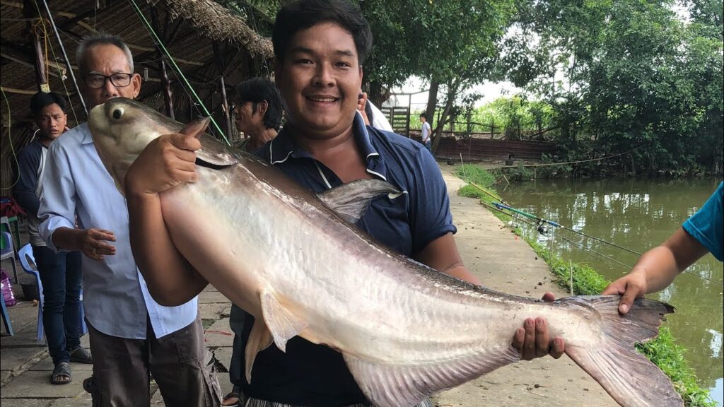 2-tri-rau-lake-sai-gon-tphcm-viet-nam-fishing-tours-trips