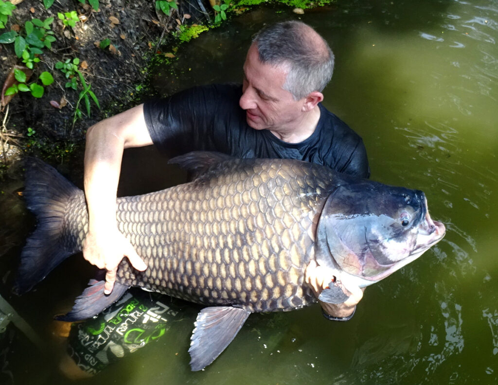 Giant-Mekong-Barb-viet-nam-fishing-trip