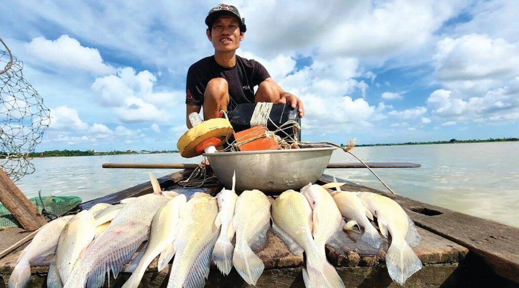 Pangasius-Krempfi-mekong-delta-river-fishing-tours-trips-viet-nam-3