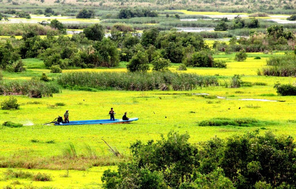 U-Minh-Thuong-National-Park-viet-nam-fishing-tours-3