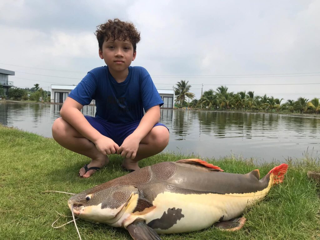 Amazon Redtail Catfish viet nam fishing tours bull arena -3