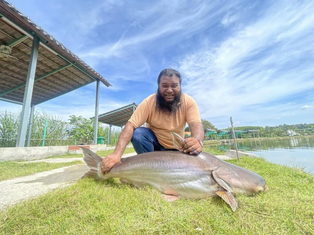 Bull Arena Fishing Park-Mekong giant catfish (2)