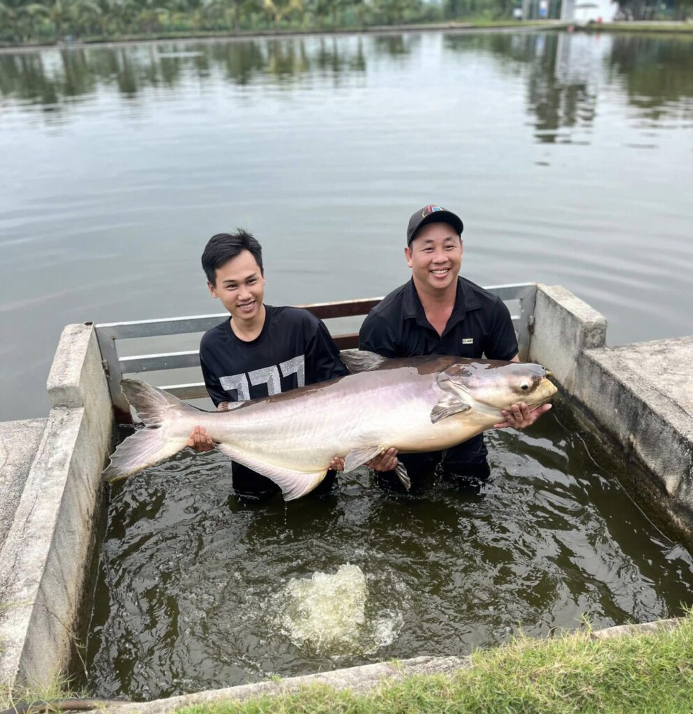 bull-arena-fishing-park-viet-nam-ba-ria-vung-tau