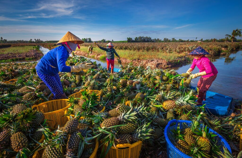 hau-giang-fishing-tour-viet-nam-mekong-river-trip-2