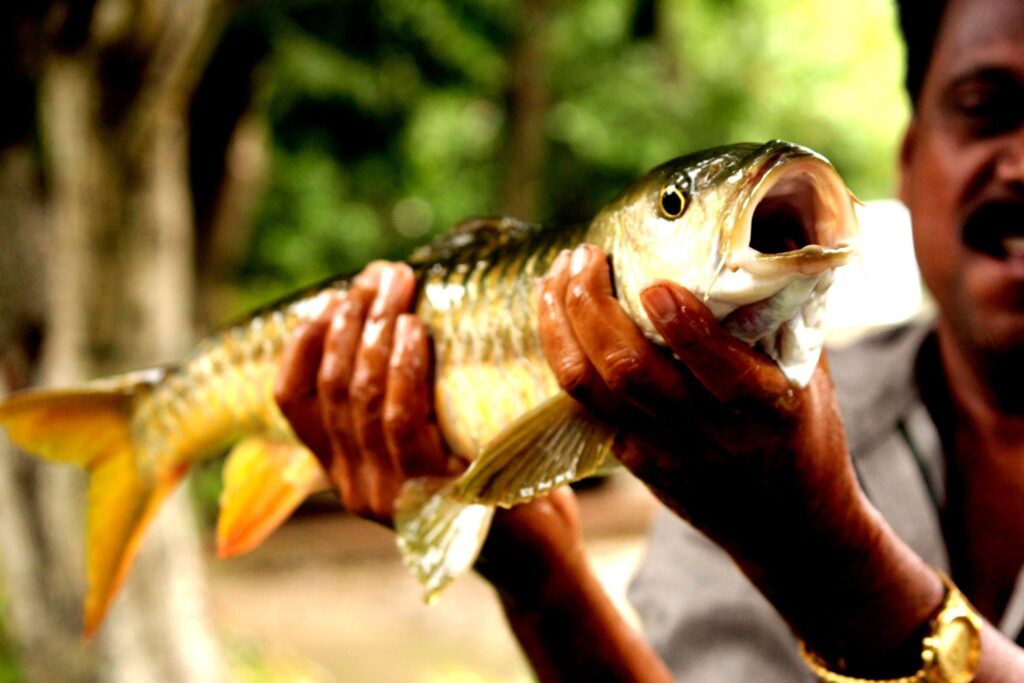 North - Central Vietnam Fishing adventure tours viet nam trips