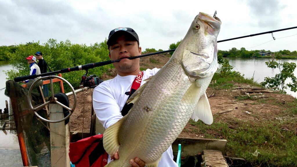 barramundi-mekong-delta-river-tourism-viet-nam-fishing-tour-trip-cau-ca-chem-dong-bang-song-cu-long