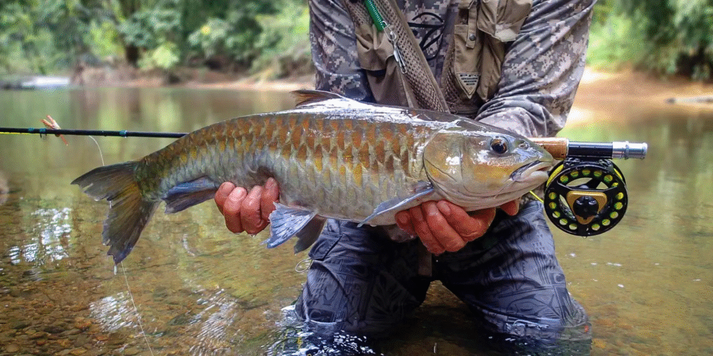 fishing-mahseer-viet-nam-fishing-tour-vn-trips-123