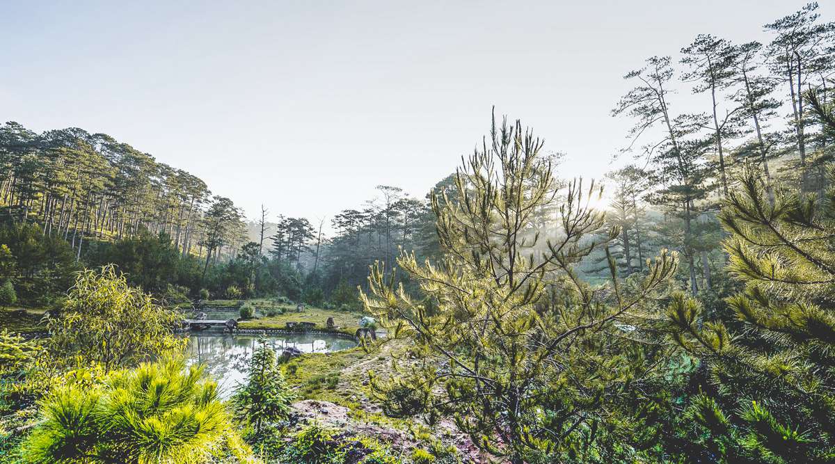 Bidoup National Park