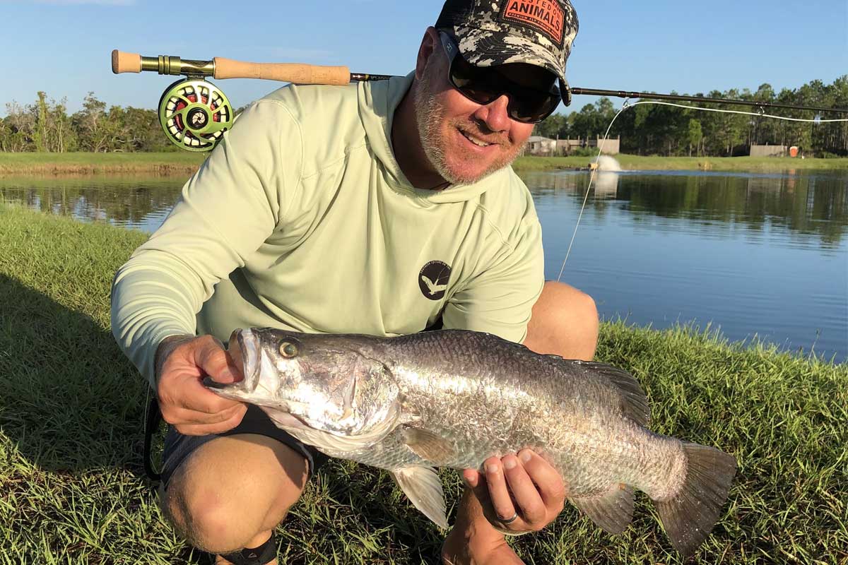 Giant sea bass are very large and extremely powerful.