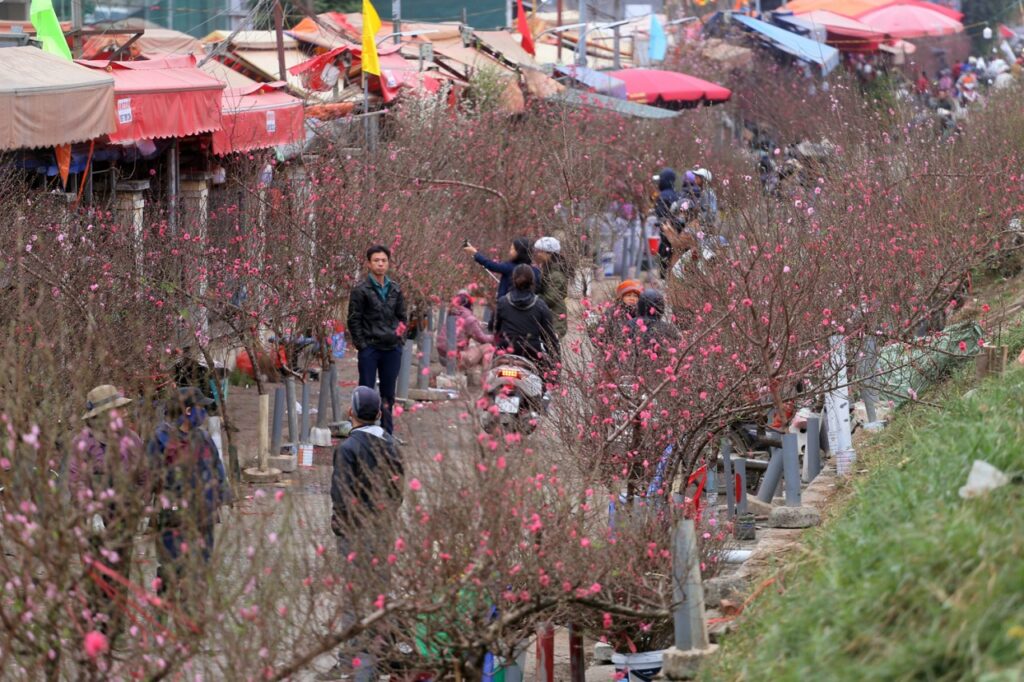 Lunnar-New-Year-2026-northern-viet-nam-fishing-tour-trip-travel-adventure-anglers-lure