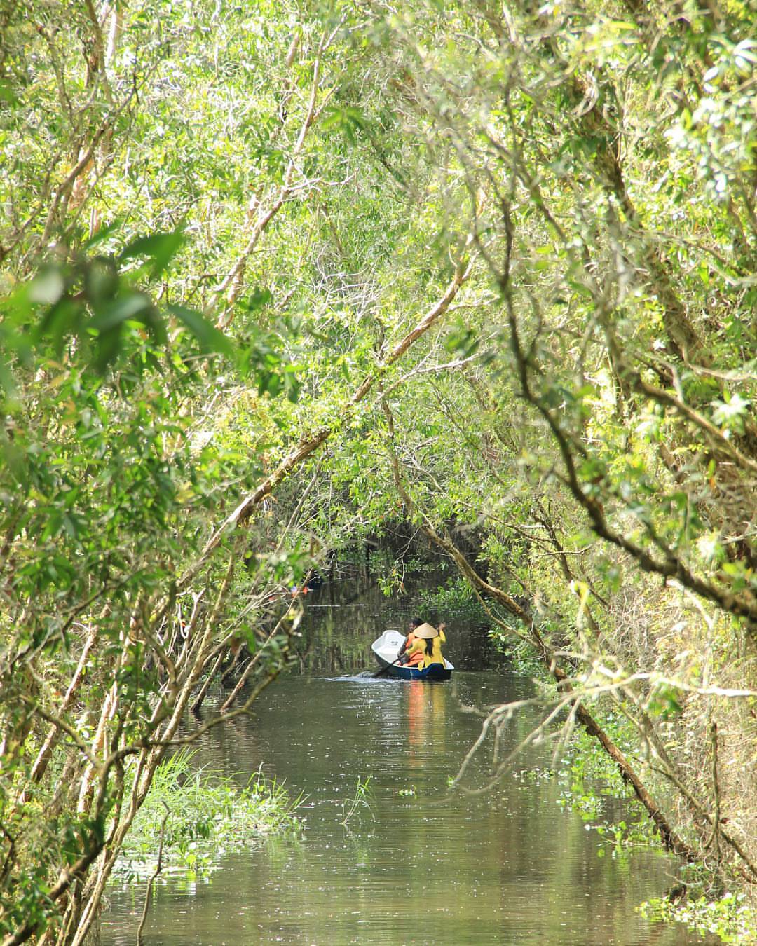 The flooded mangrove forest at Tan Lap floating village.