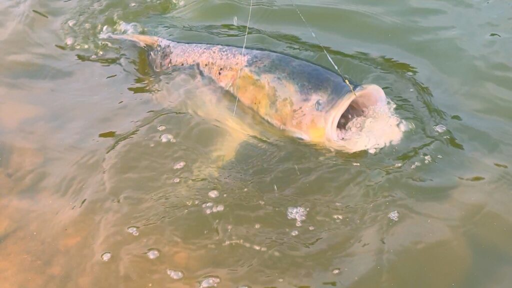 ha-noi-viet-nam-fishing-tour-trip-adventure-lure