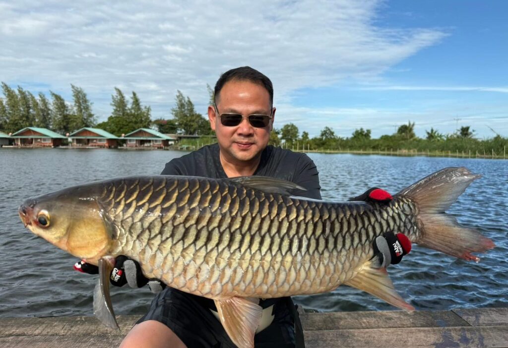 happy-new-year-2026-bungsamran-fishing-park-lake-bangkok-thailand-vietnam-fishing-tour-trip-travel-adventure