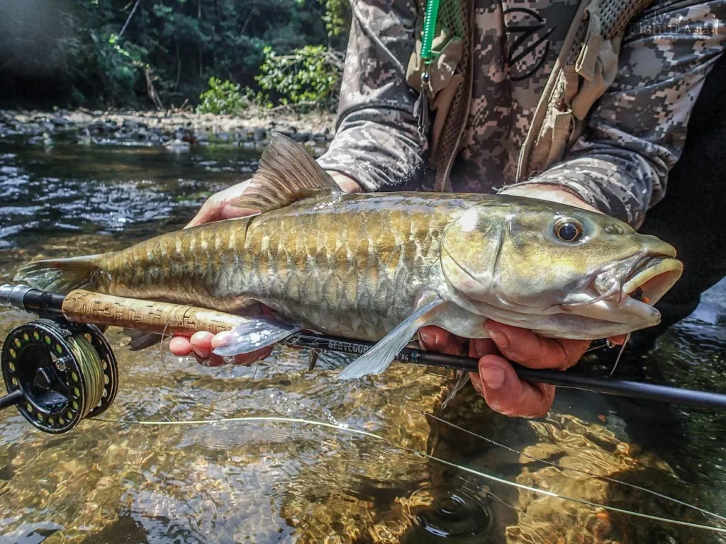 mahseer-da-lat-viet-nam-fishing-tour-trip-adventure-family-88