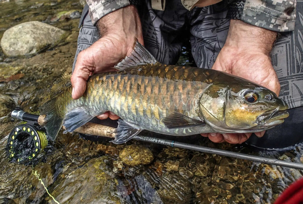 mahseer-viet-nam-fishing-tour-trip-2026