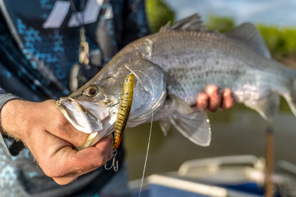 hanoi-barramundi-fishing-trip-tour-travel-angler-2026-viet-nam-fishing-guide-21