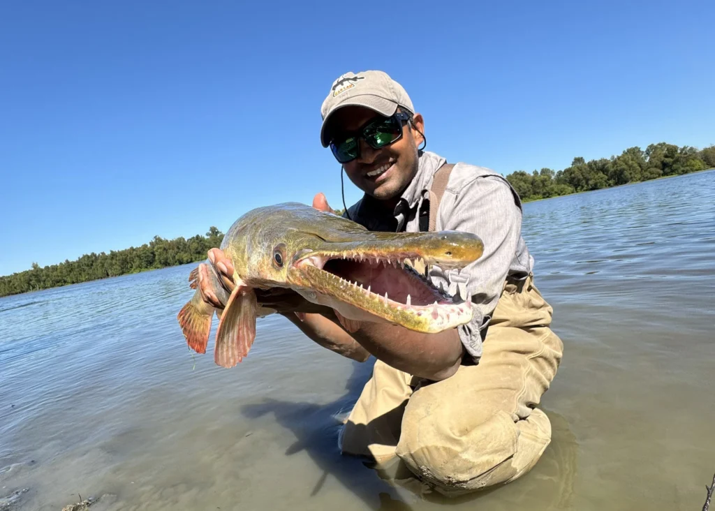 Alligator-Gar-vietnam-fishing-tour-trip-travel-angler-2026-summer