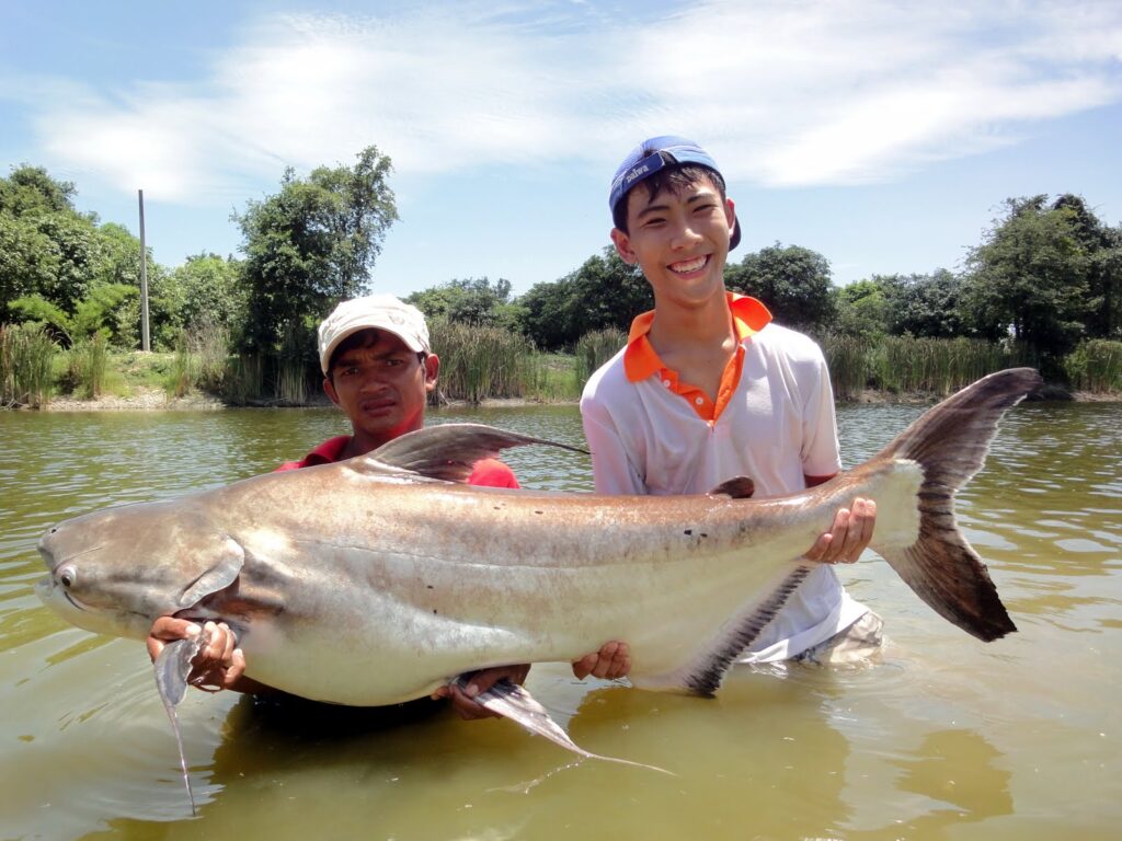 Chao-phraya-catfish-viet-nam-fishing-tours-trips-travel-anglers-lure-fly-fishing-summer-2026