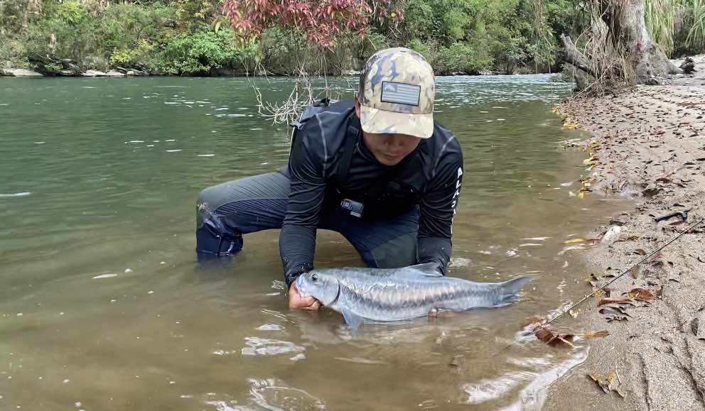 Stracheyi Mahseer-blue-mahseer-Pro-Fishing-Team-national-vietnam-fishing-tours-trips-travel-anglers-lure-fly