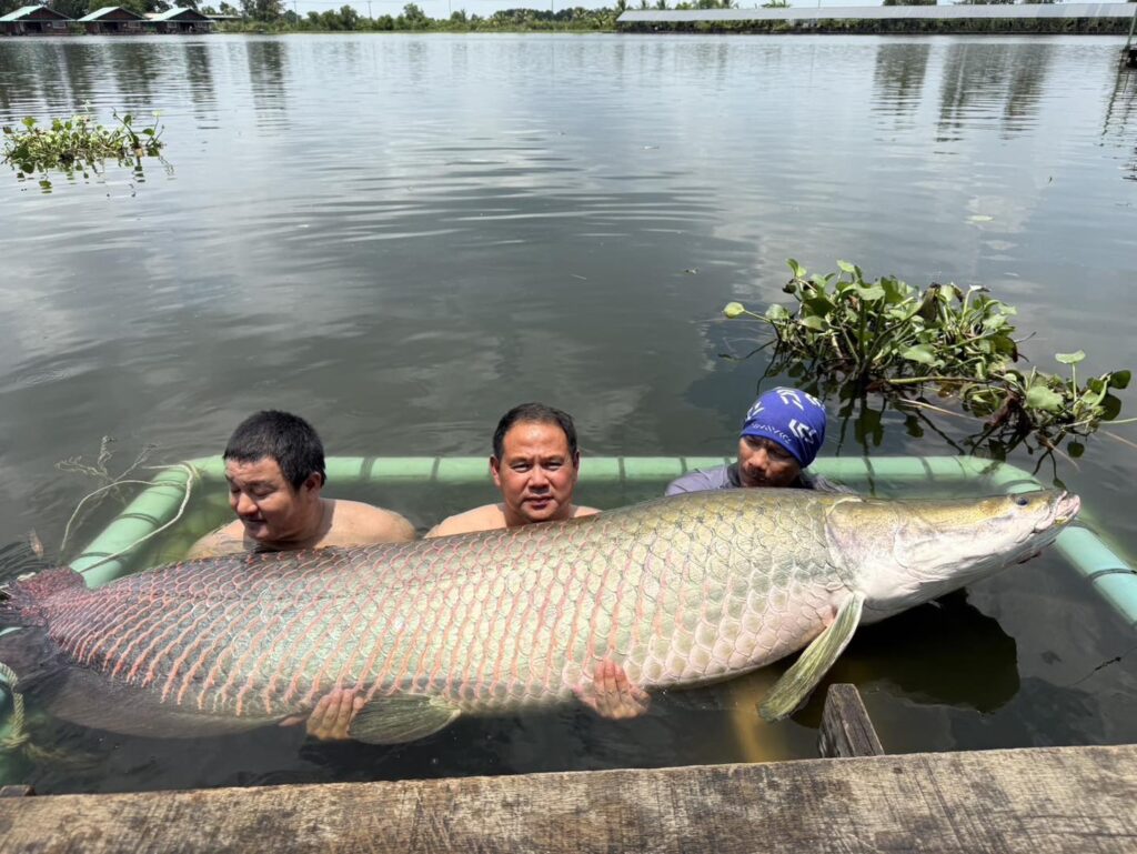 bungsamran-vietnam-fishing-tour-trip-travel-anglers-summer-2026-businessmen-woman