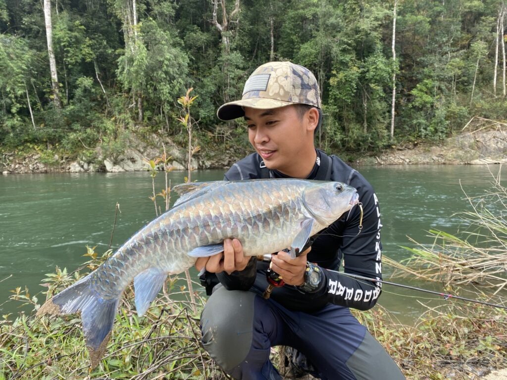 stracheyi-mahseer-blue--northern-vietnam-fishing-tours-trips-travel-anglers-summer-catching-lure-fly-fishing-2026