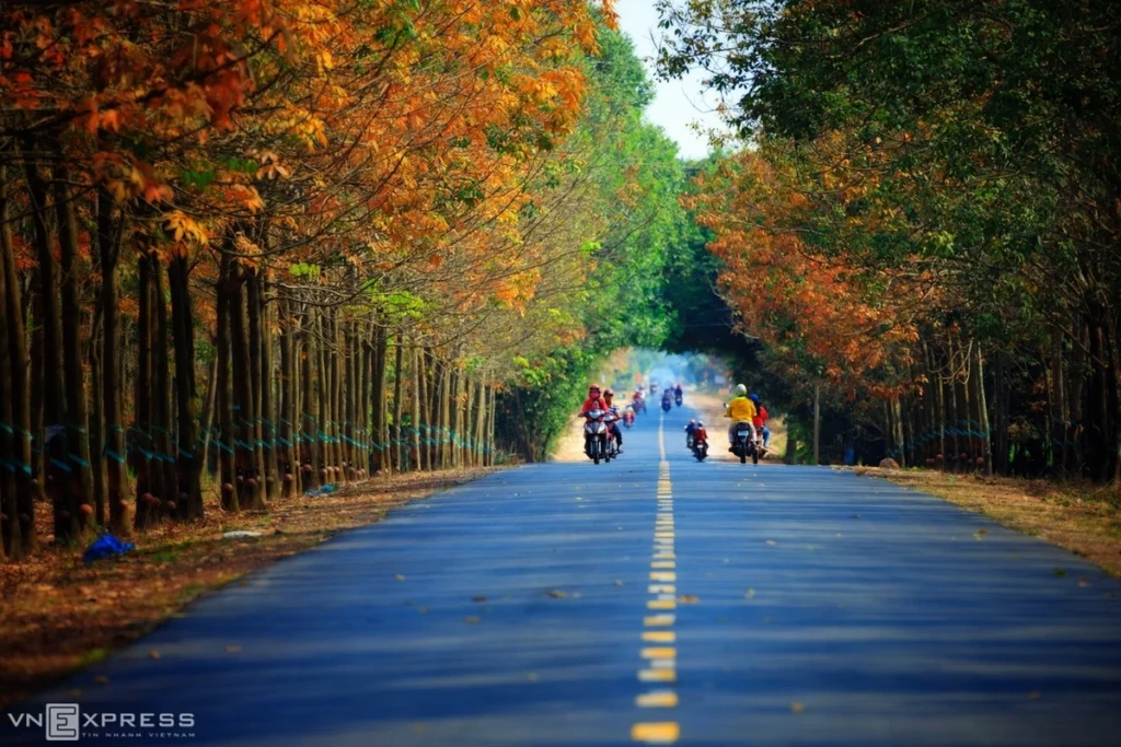 Tay-Ninh-province-vietnam-fishing-tour-trip-travel-angler-autumn