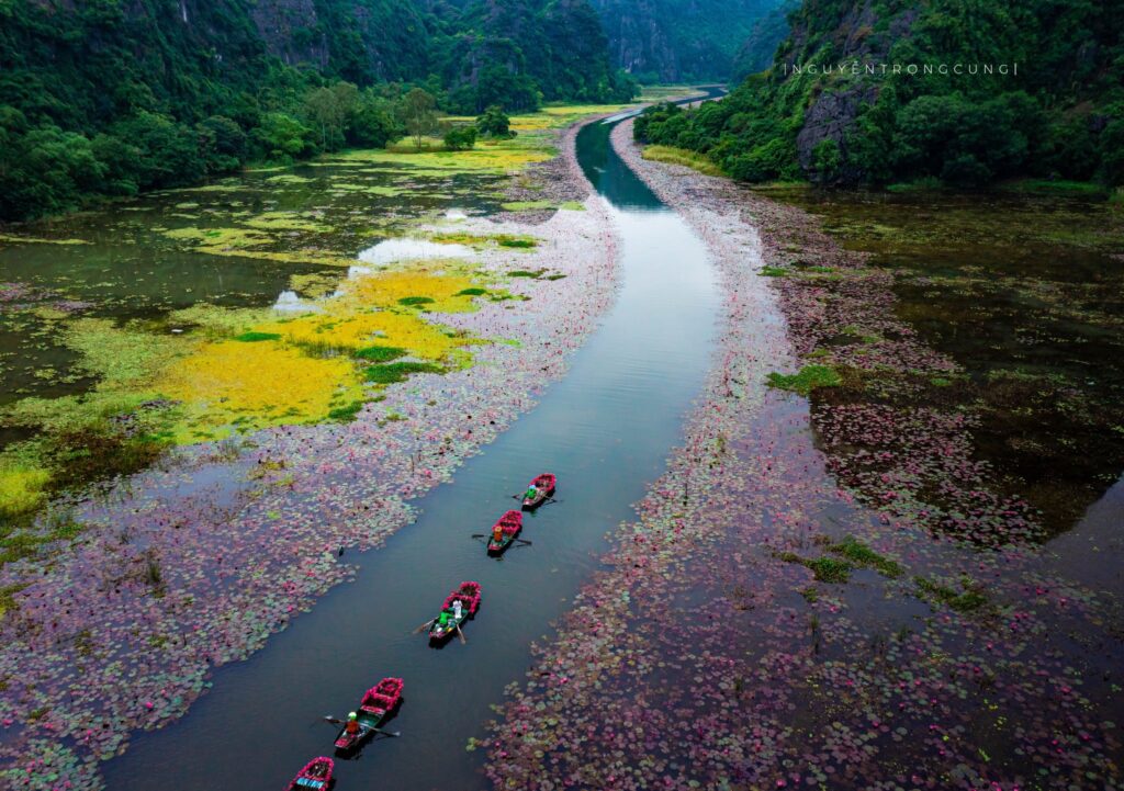 autumn-in-tam-coc-bich-dong-cave-ngo-dong-lake-trang-an-ninh-binh-vietnam-fishing-tours-trips-travel-anglers