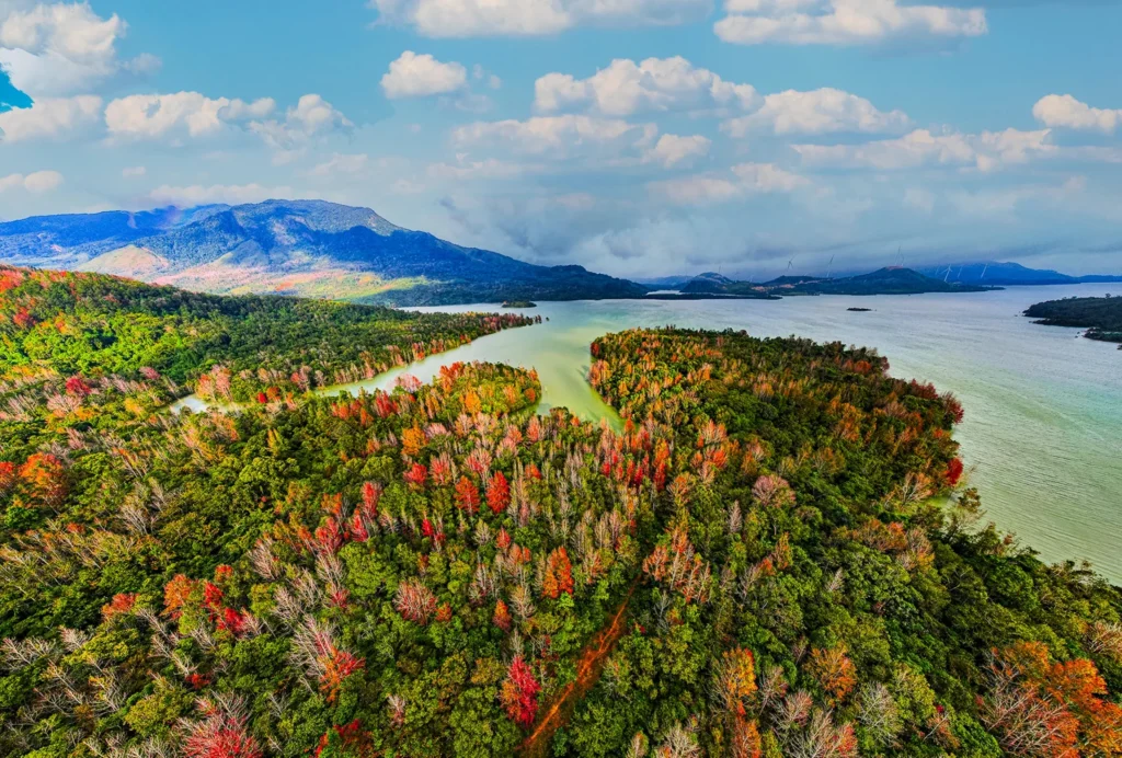 autumn-quang-tri-province-phong-huong-trees-khe-sanh-huong-phung-vietnam-fishing-tours-trips-travel-anglers