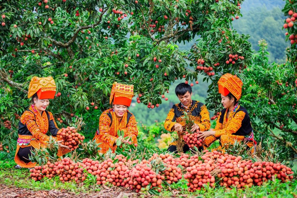 Bac-giang-province-vai-thieu-luc-ngang-vietnam-fishing-tours-trips-travel-anglers