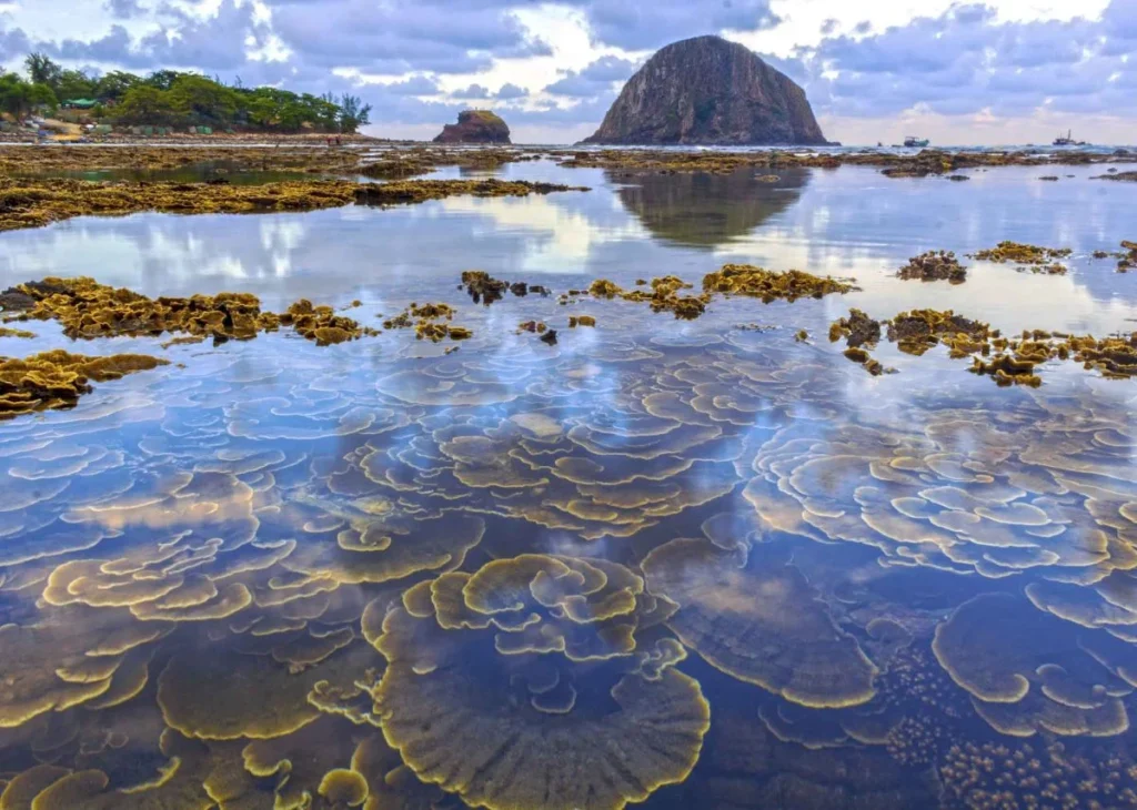 hon-yen-phu-yen-province-vietnam-fishing-tour-trip-travel-anglers