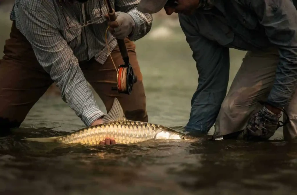 mahseer-viet-nam-fishing-tours-trips-travel-anglers-22